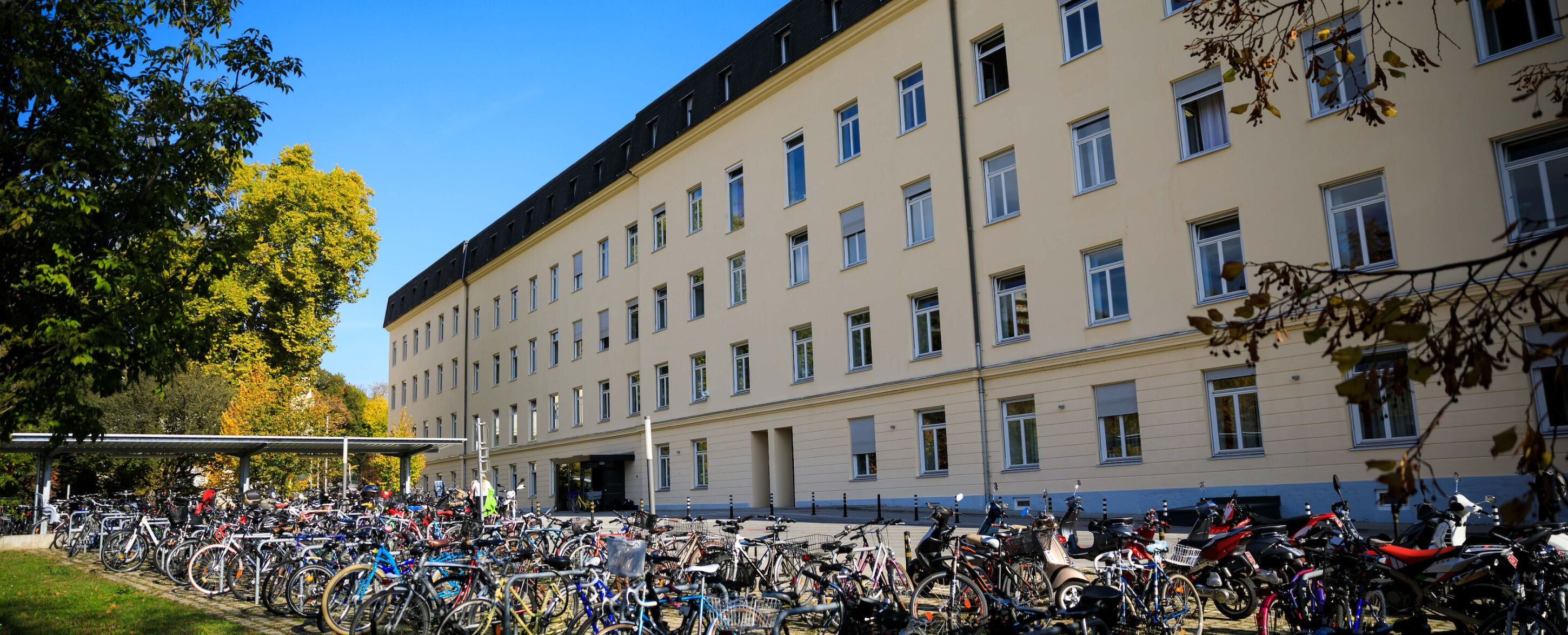 Reihen von Fahrrädern, die an einem sonnigen Tag vor einem großen beigen Gebäude geparkt sind.