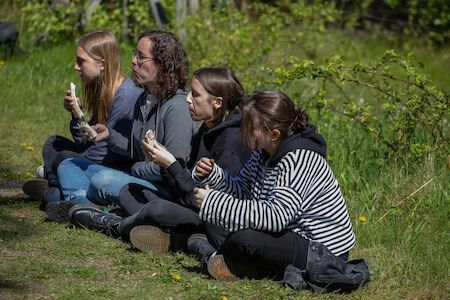 Vier Personen sitzen an einem sonnigen Tag draußen im Gras und essen Sandwiches.