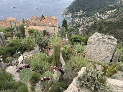 Garten auf einem Hügel mit Kakteen und Blick auf das Meer und das Küstendorf unten.